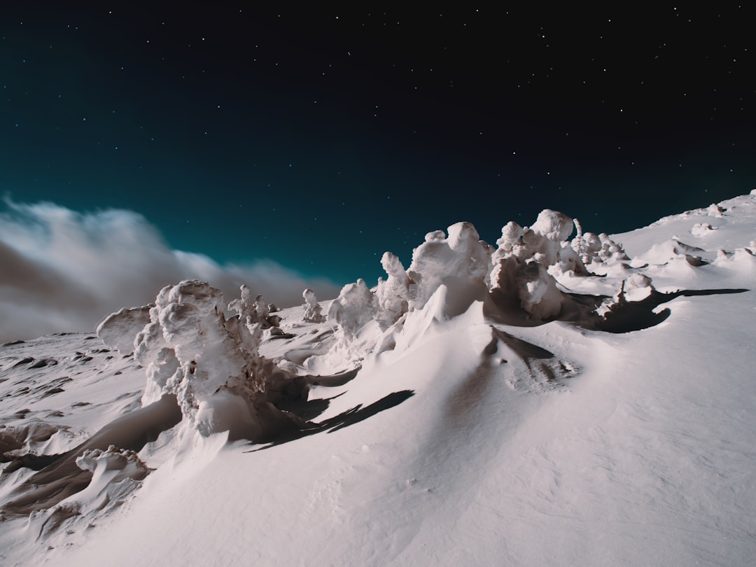 Quel snowboard choisir pour débuter : le guide complet pour novices et amateurs